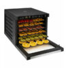 Dehydrator Zyle Express II - obrazek 7